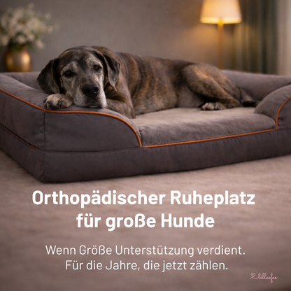 Orthopädisches Premium-Hundekissen für große Hunde mit großem Anspruch