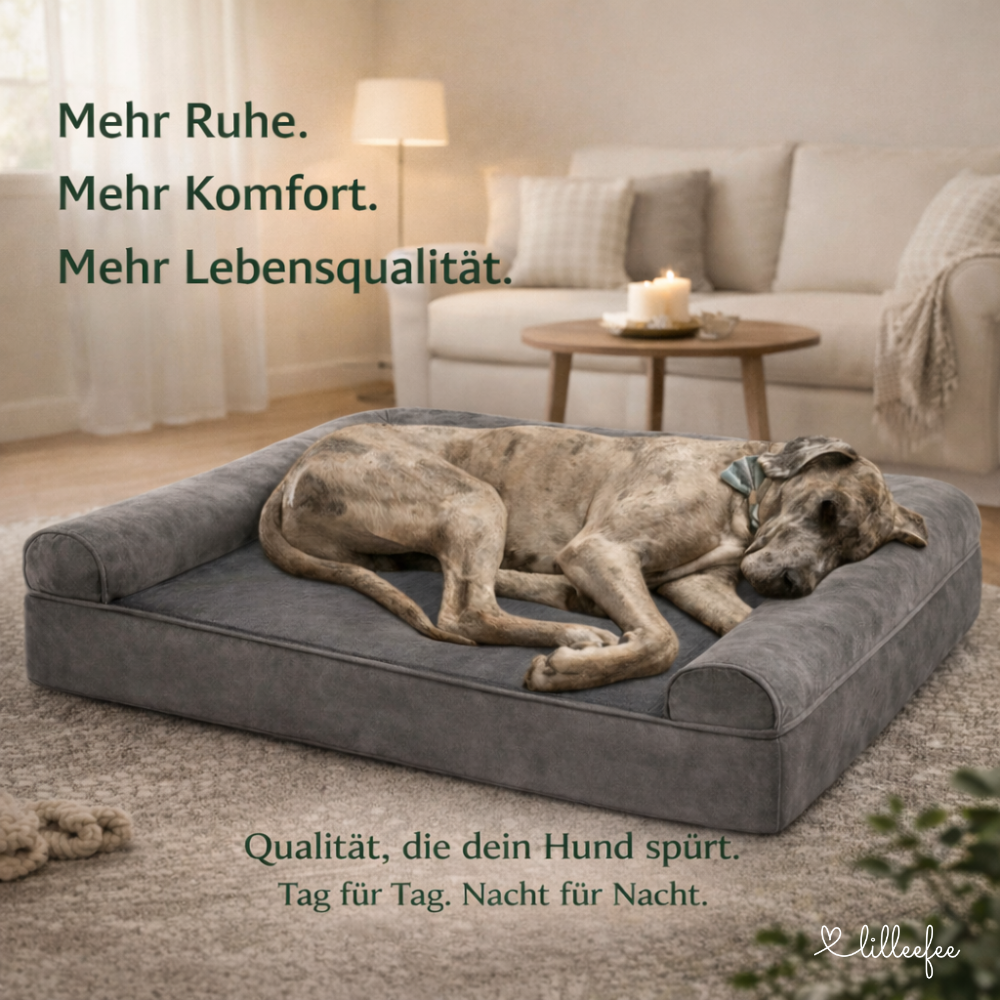 Kuschel-Hundekissen mit orthopädischem Memory-Schaum in L bis XXXL