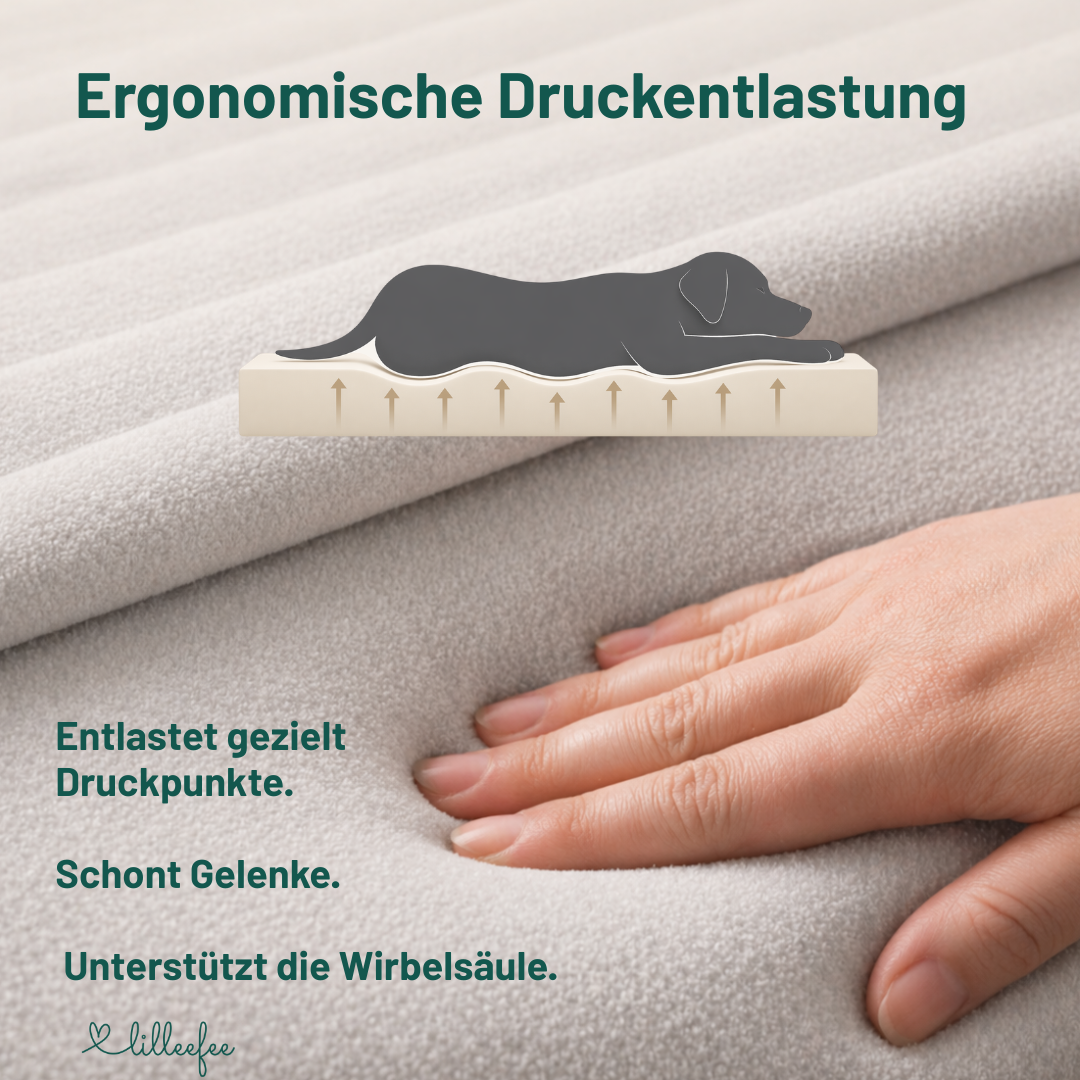 Orthopädisches Premium-Hundekissen für große Hunde mit großem Anspruch