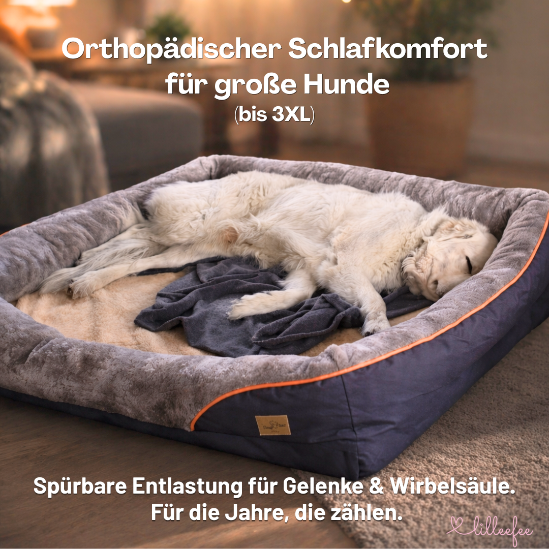 Orthopädisches Premium-Hundekissen für große Hunde mit großem Anspruch