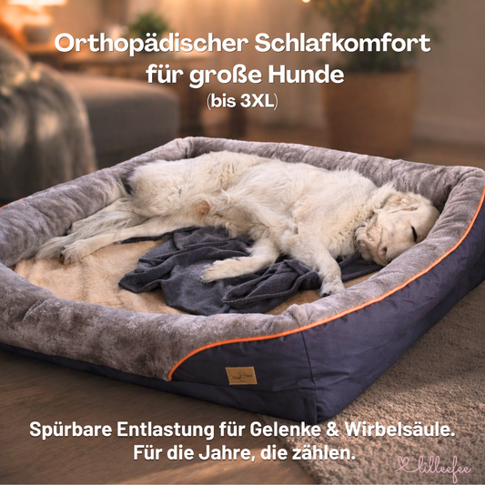 Orthopädisches Premium-Hundekissen für große Hunde mit großem Anspruch