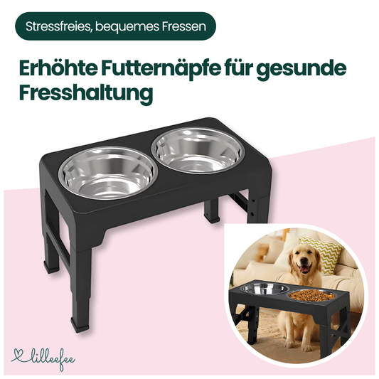Erhöhte Futternäpfe – Gesünderes & komfortableres Fressen ohne Bücken