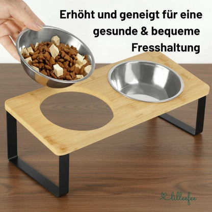 Ergonomische Futterstation für Katzen - erhöht und geneigt für gesündere Fresshaltung