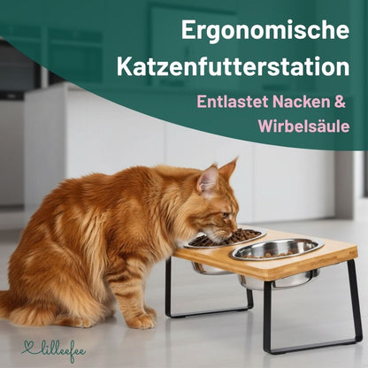 Ergonomische Futterstation für Katzen - erhöht und geneigt für gesündere Fresshaltung