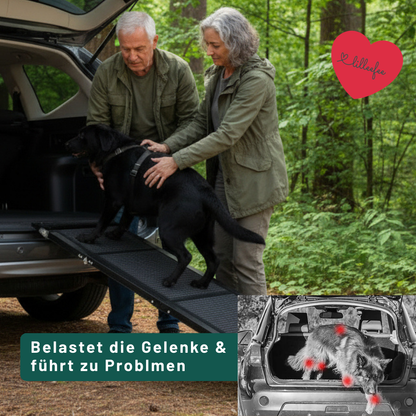 Faltbare-hunderampe-sofa-platzsparend-rutschfest-unterwegs