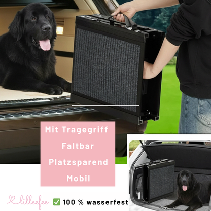 Faltbare-hunderampe-sofa-platzsparend