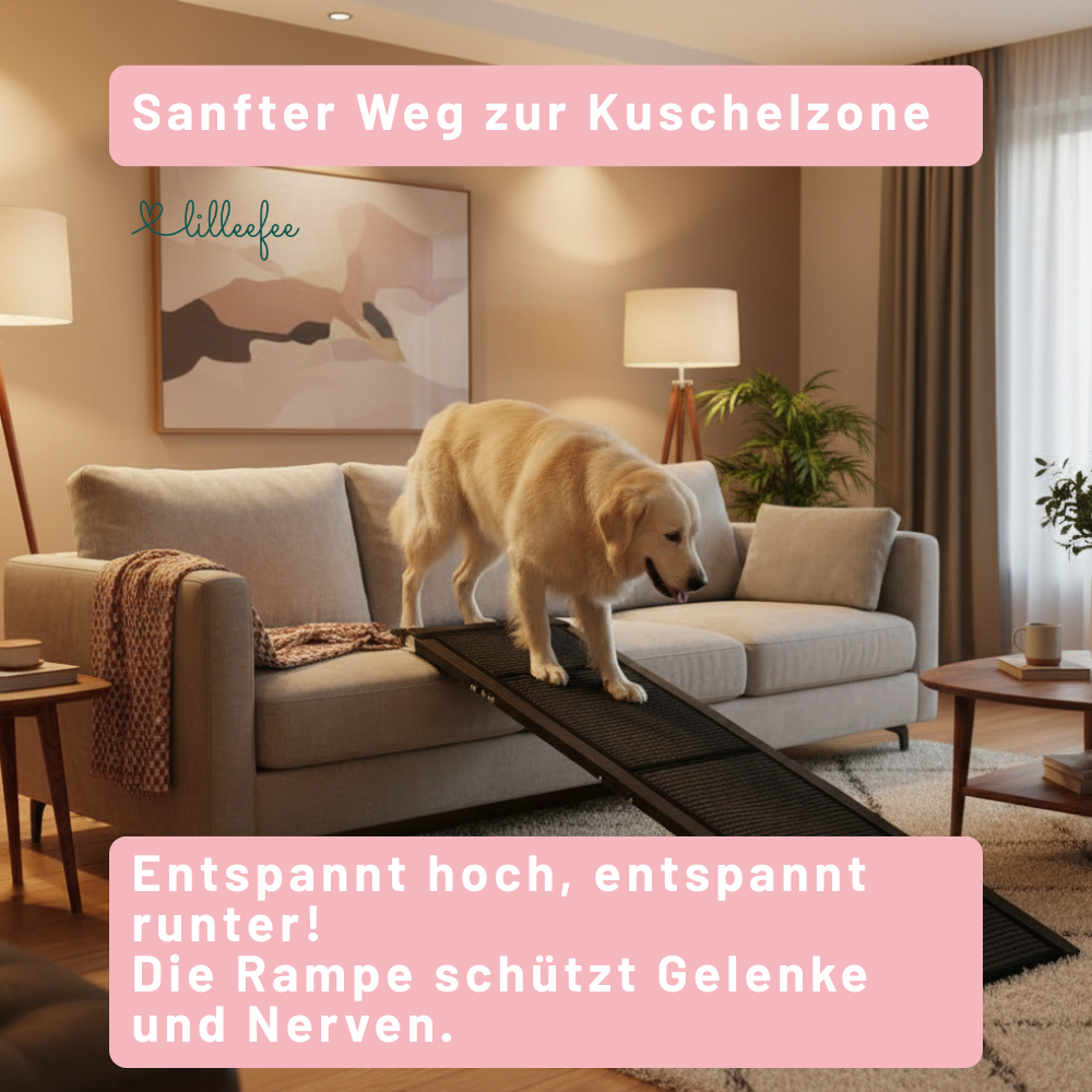 Faltbare-hunderampe-sofa