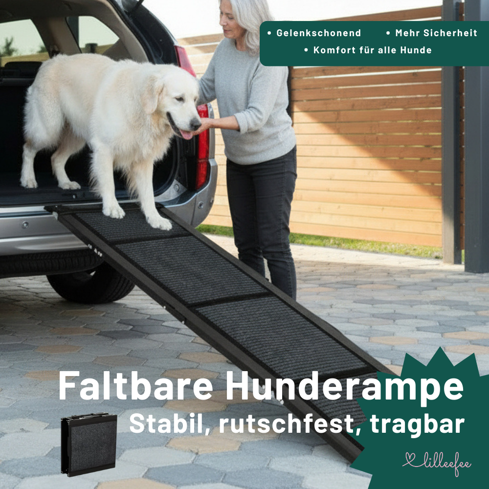 Faltbare-hunderampe