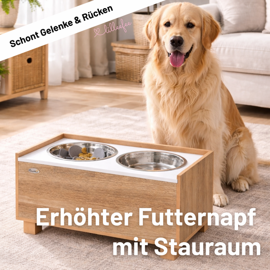 Futternapf-mit-Stauraum-erhoeht