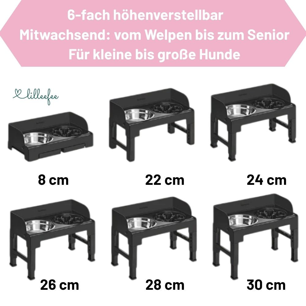 Höhenverstellbare & neigbare Futterstation mit Spritzschutzkanten für Hunde