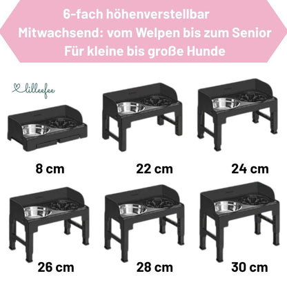 Höhenverstellbare & neigbare Futterstation mit Spritzschutzkanten für Hunde