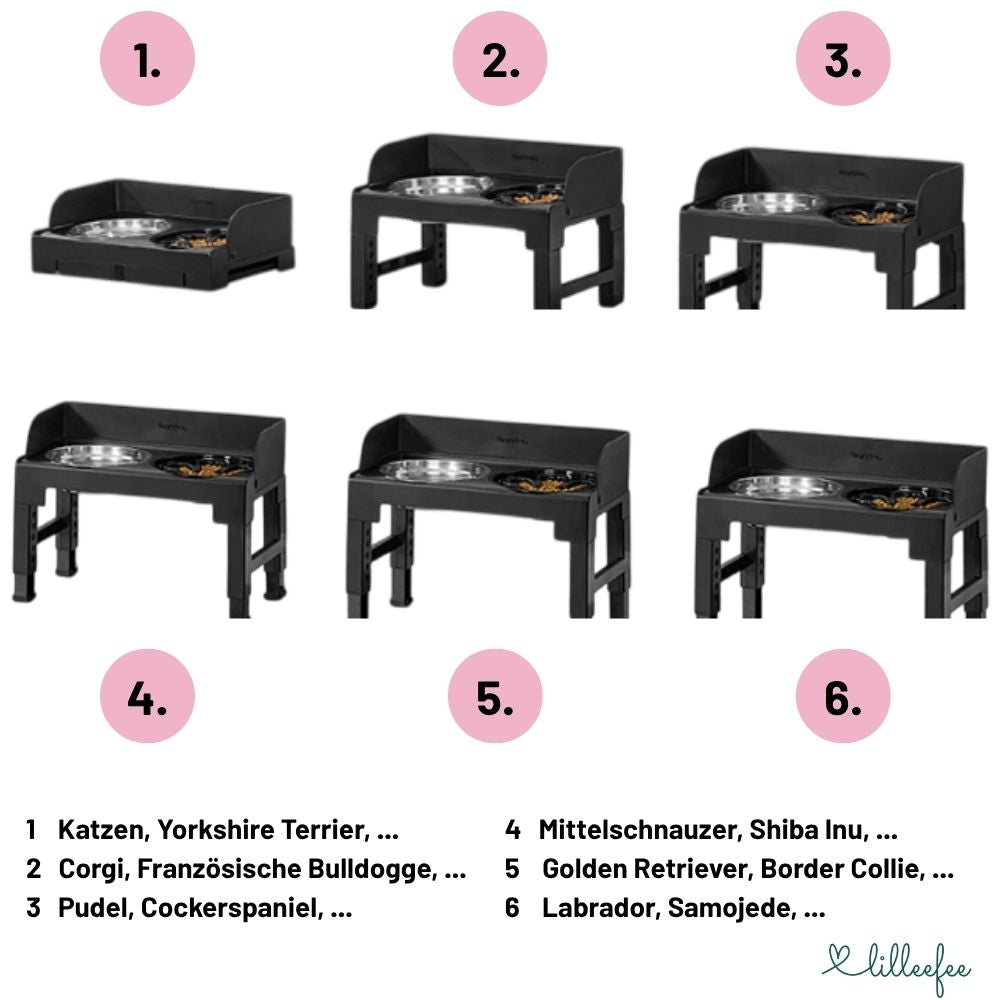 Höhenverstellbare & neigbare Futterstation mit Spritzschutzkanten für Hunde