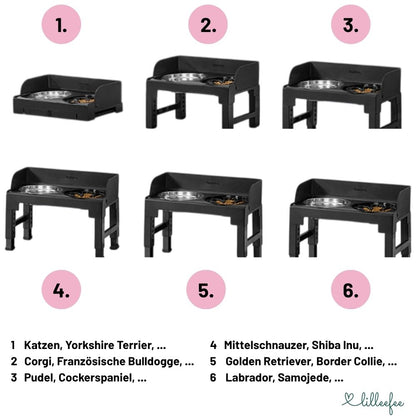 Höhenverstellbare & neigbare Futterstation mit Spritzschutzkanten für Hunde