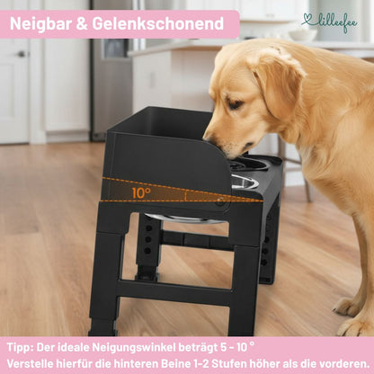 Höhenverstellbare & neigbare Futterstation mit Spritzschutzkanten für Hunde