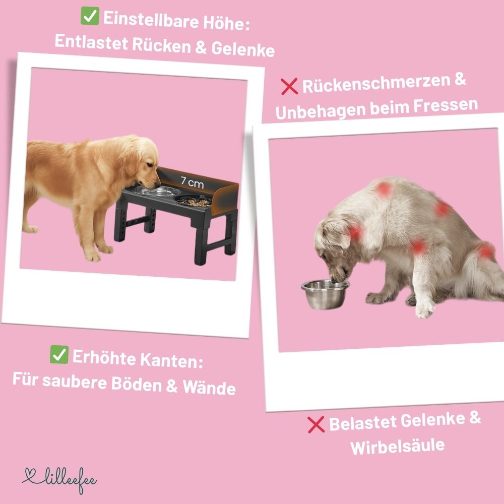 Höhenverstellbare & neigbare Futterstation mit Spritzschutzkanten für Hunde