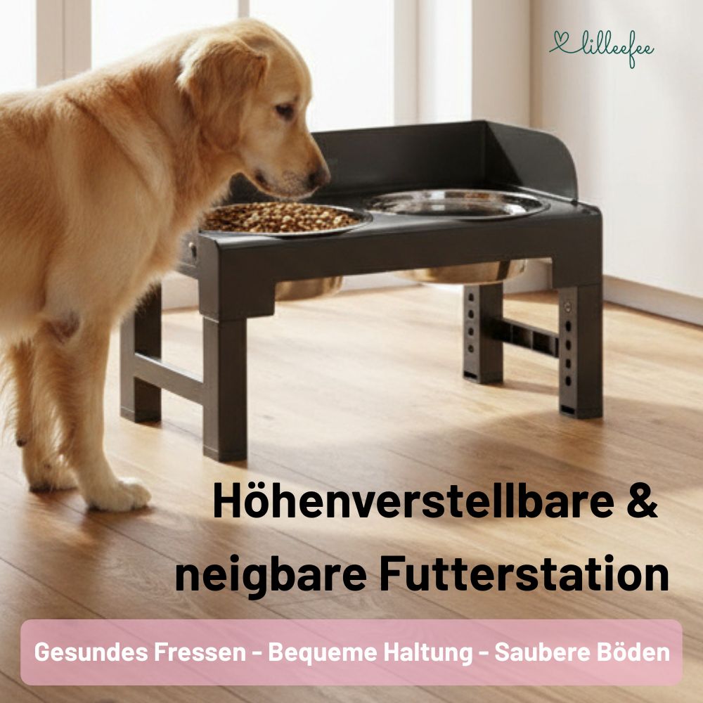 Höhenverstellbare & neigbare Futterstation mit Spritzschutzkanten für Hunde