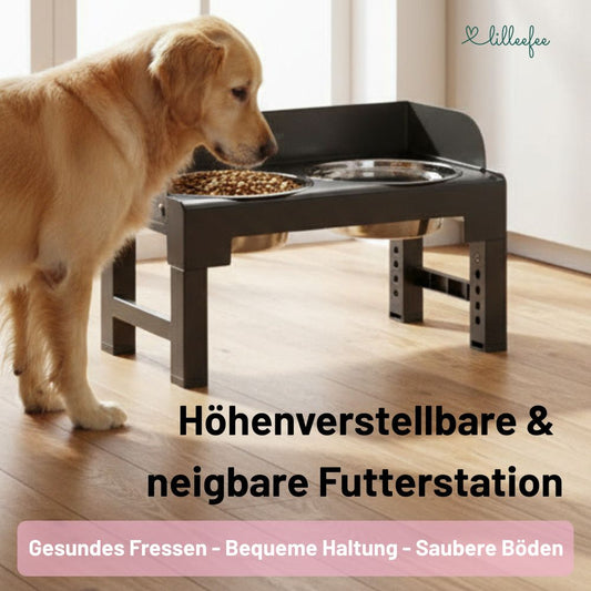 Höhenverstellbare & neigbare Futterstation mit Spritzschutzkanten für Hunde