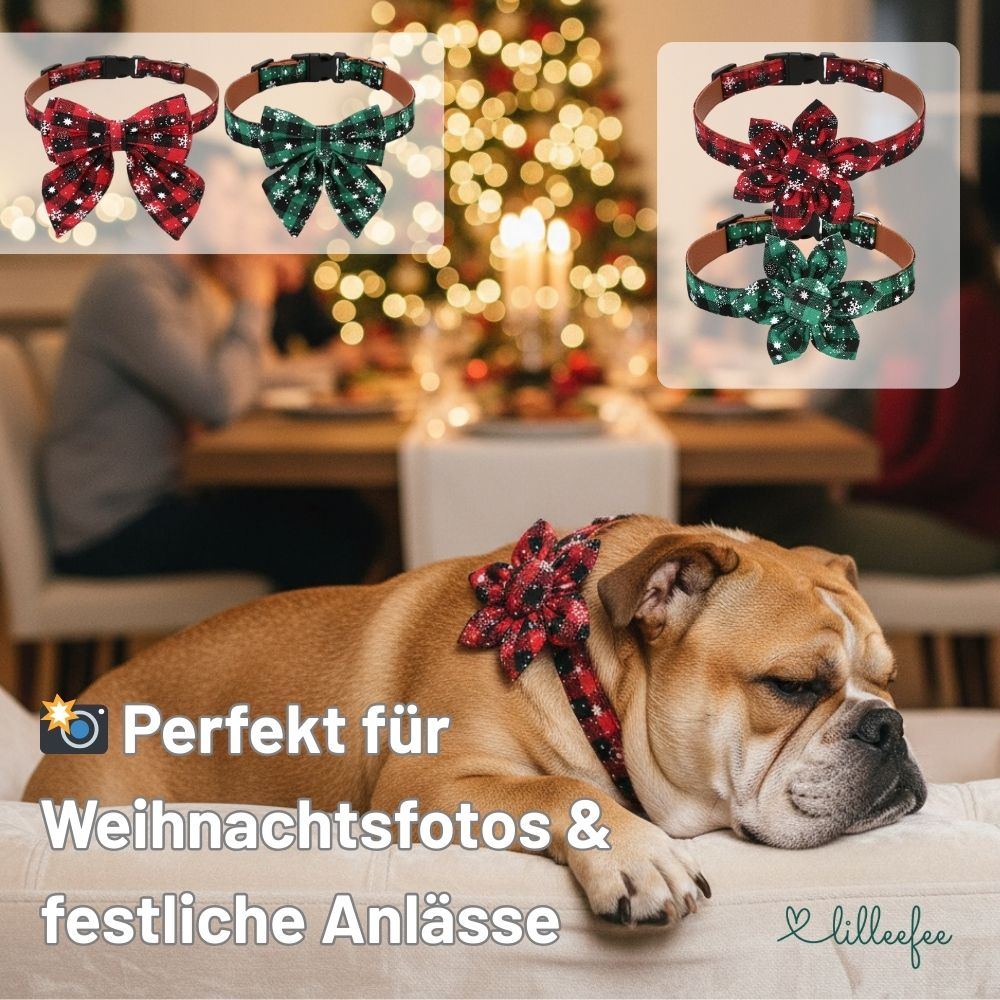 Hundehalsband Weihnachts-Edition : Festliches Design mit Schleife oder Blüte