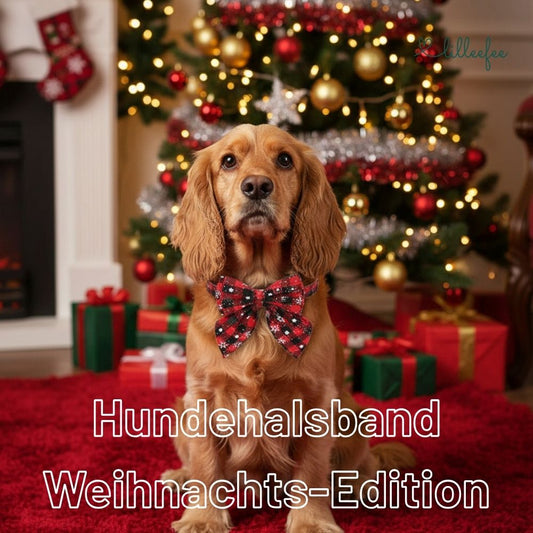 Hundehalsband Weihnachts-Edition : Festliches Design mit Schleife oder Blüte