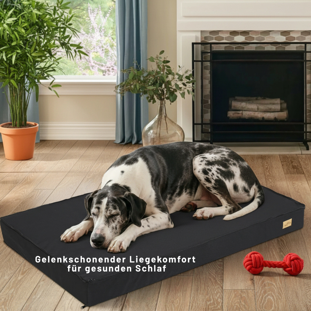 Orthopaedische-Hundematte-gelenkschonend