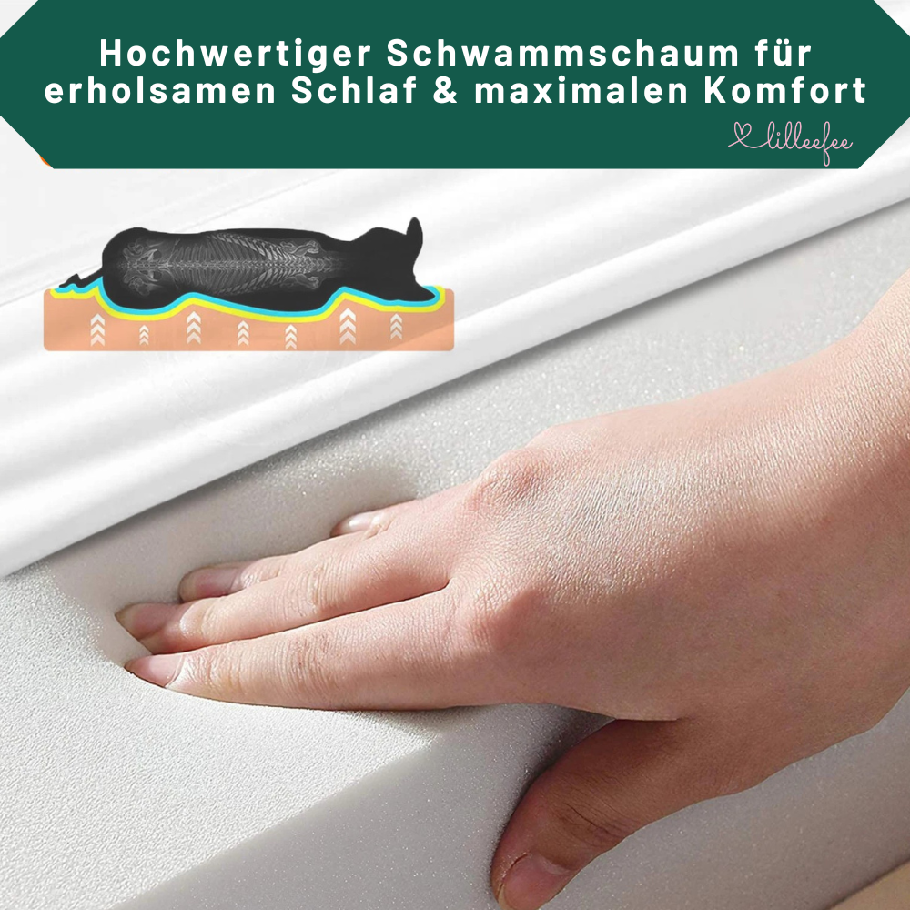 Orthopaedische-Hundematte-schwammschaum