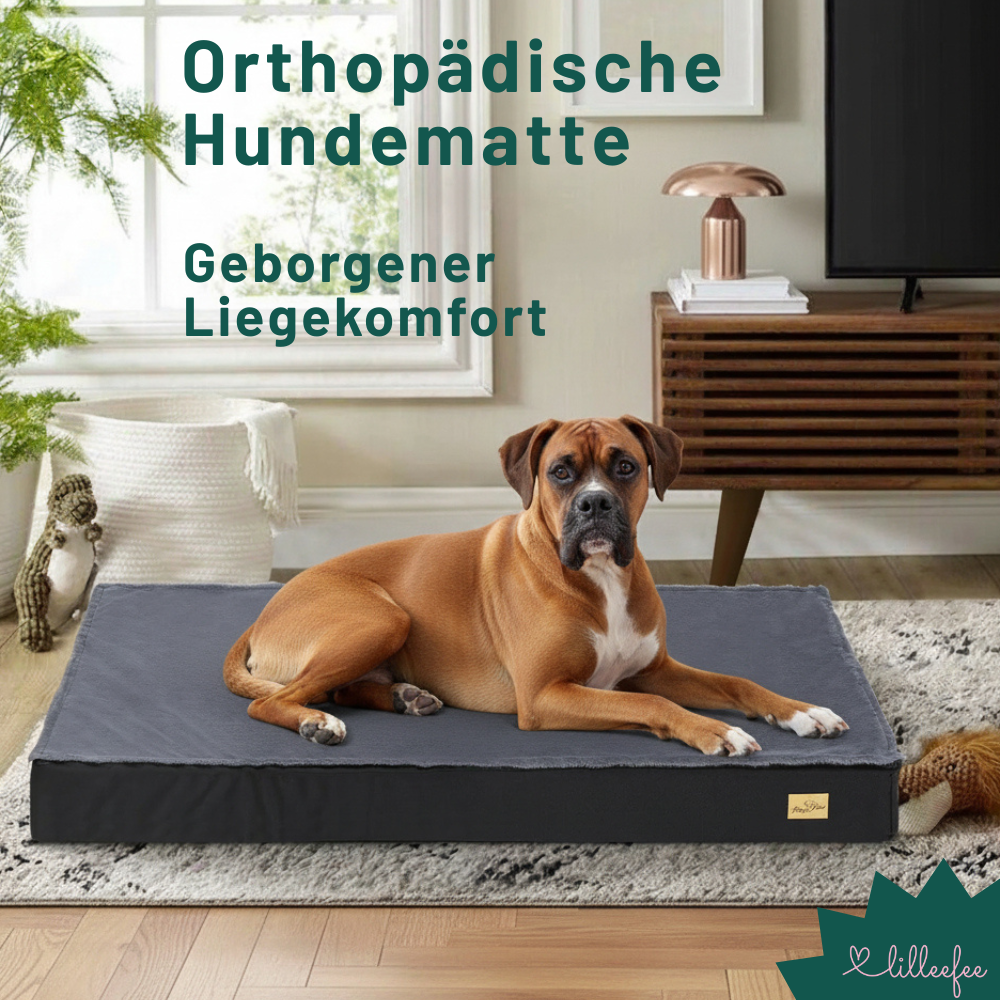 Orthopaedische-Hundematte