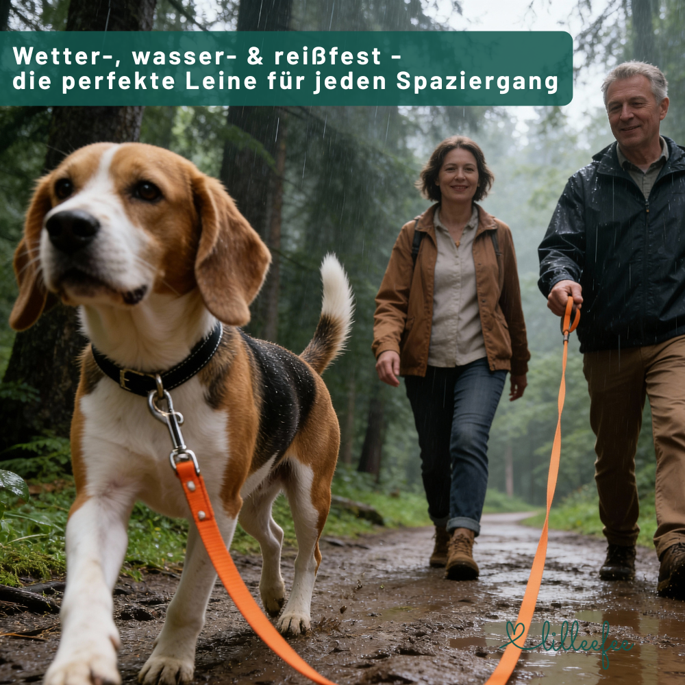 Schleppleine-Lilleefee-wetterfest