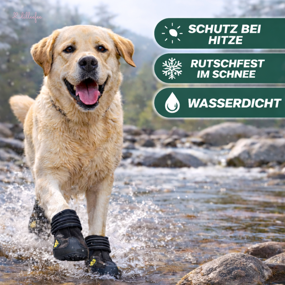 allwetter-hundeschuh-schutz