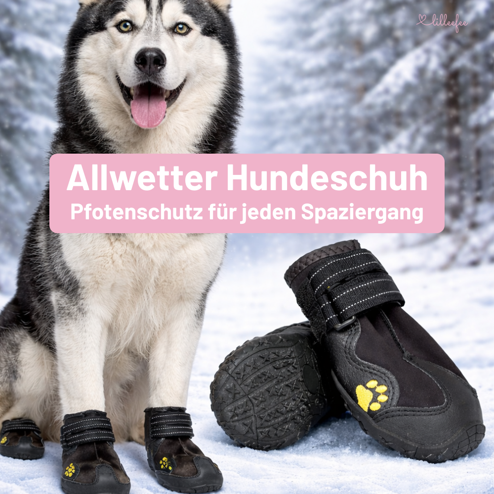 allwetter-hundeschuh