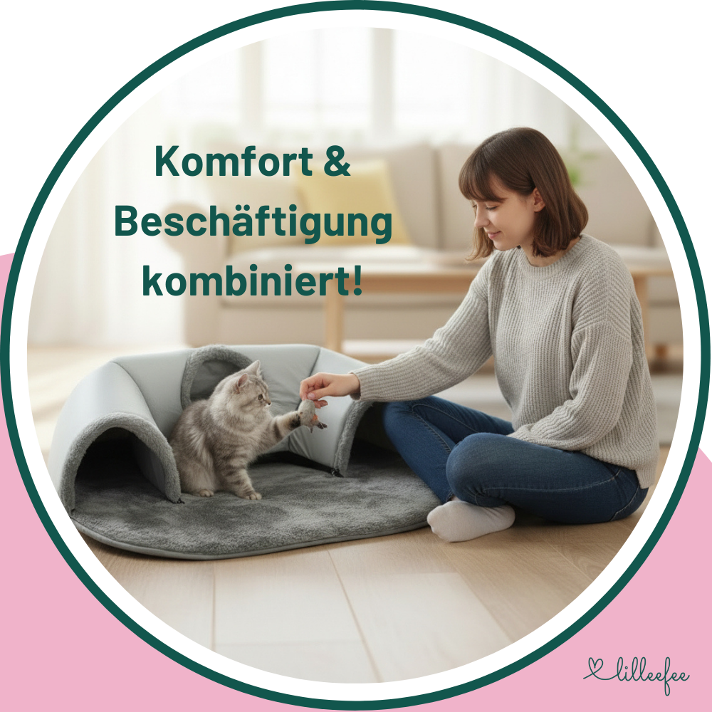 kuscheliger-katzentunnel-komfort-beschaeftigung