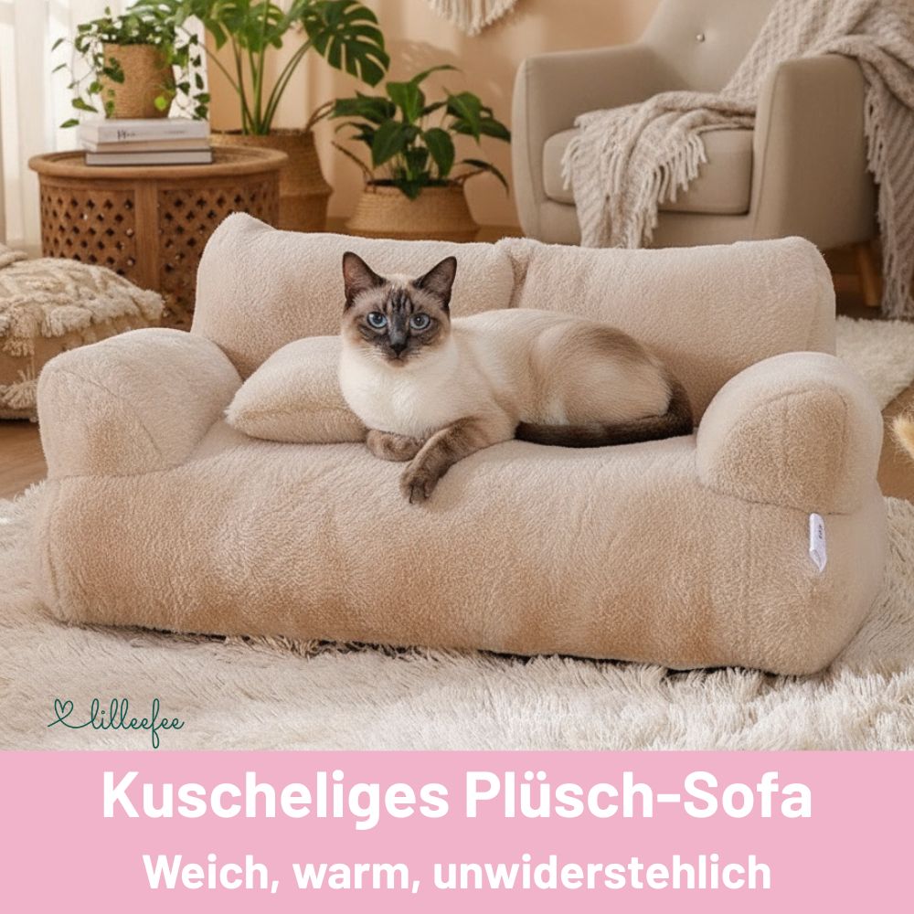 Kuscheliges Plüsch-Sofa für Katzen und kleine Hunde