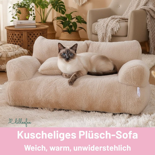 Kuscheliges Plüsch-Sofa für Katzen und kleine Hunde
