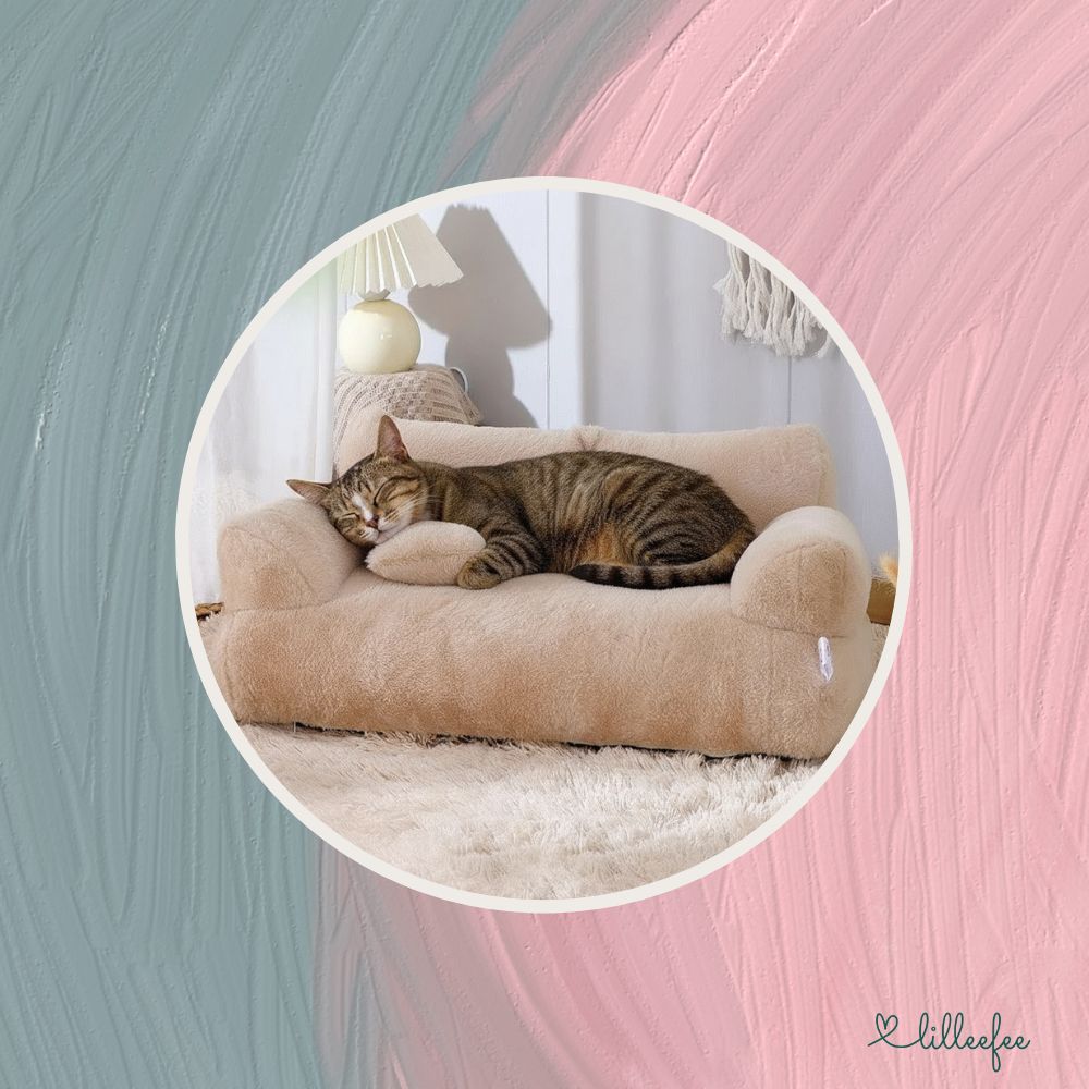 Kuscheliges Plüsch-Sofa für Katzen und kleine Hunde