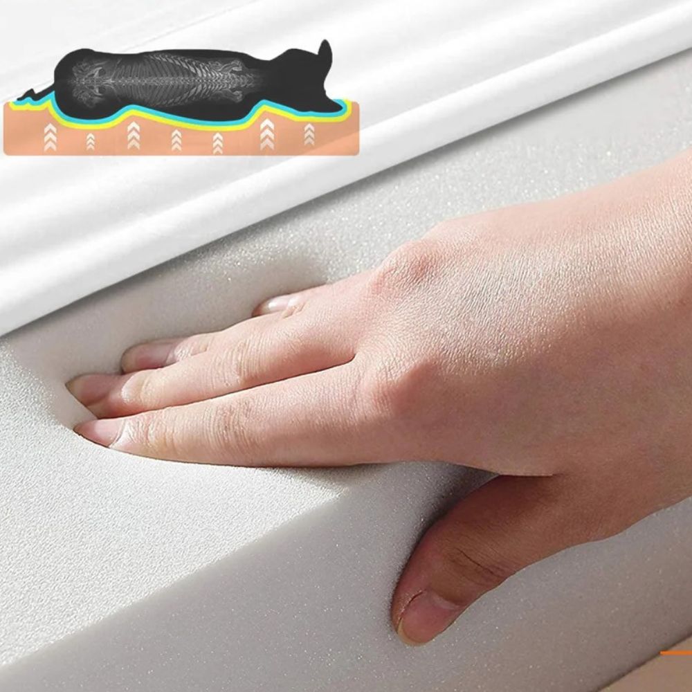 Orthopädisches Premium-Hundekissen für große Hunde mit großem Anspruch